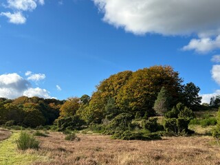 Fototapeta premium path in the mountains