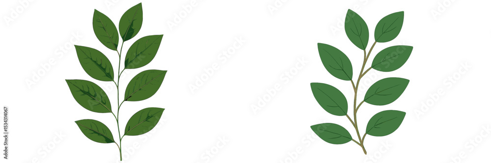 Poster Vector flat illustration of green leaves arranged in two different styles for design projects and nature themes