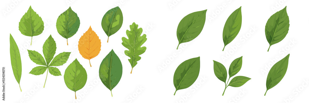 Poster Nature-inspired vector illustration of various leaves in different shapes and colors displayed on a plain background