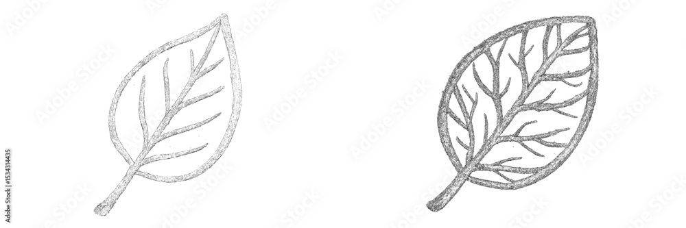 Aufkleber Two unique vector illustrations of leaf designs highlighting different styles and textures in a flat format