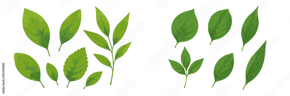 Poster green leaf vector illustration showcasing various leaf shapes, sizes, and textures in a flat design 