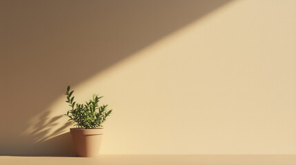 Beige wall background , small potted plant, gentle shadow, empty space