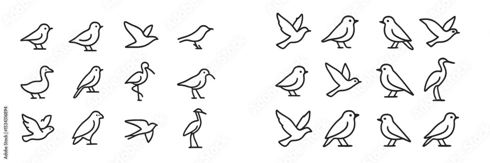 Poster Collection of various bird illustrations showing different species and sizes in a flat vector style