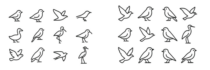 Collection of various bird illustrations showing different species and sizes in a flat vector style