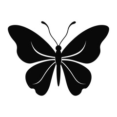 Beautiful colorful butterfly vector illustration with detailed wings, perfect for nature-inspired design and summer decoration