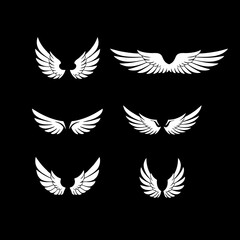 Obraz premium Set of elegant flying wing designs