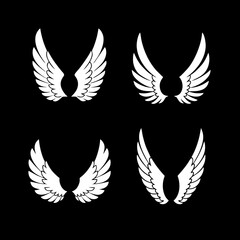 Long elegant wing silhouettes