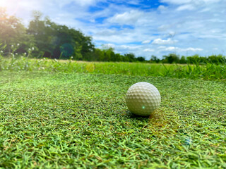 White golf ball on the competition field with sunlight shining through it.