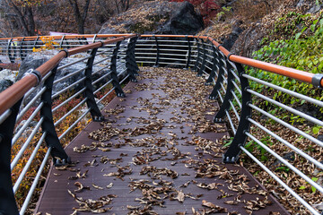 walkway with fallen leaves in the autumn valley