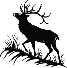 Majestic silhouette of a deer in a grassy meadow