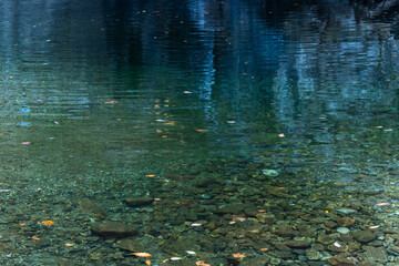 flowing stream with fallen leaves and reflection