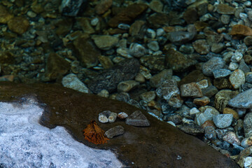 flowing water with fallen leaves on the stream in the autumn valley