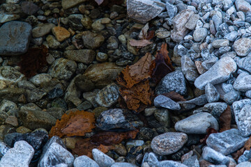 flowing water with fallen leaves on the stream in the autumn valley
