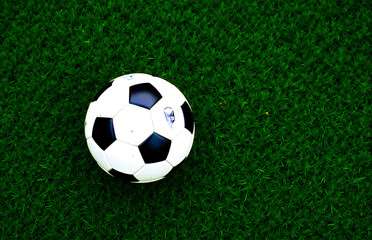 Fototapeta premium Soccer on the Green Field