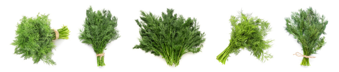 Set of fresh dill on white background