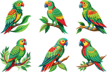 colorful parrots on branches illustration