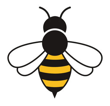 An illustrative image of a stylized bee with black and yellow stripes, white wings, and black antennae, seen from a top-down perspective.
