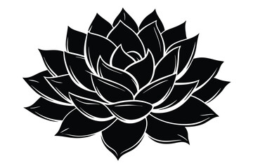 Stylized Black and White Graphic Illustration of a Succulent Plant in Full Bloom