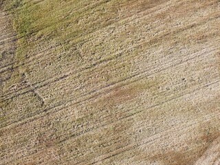 Dry, textured landscape showing earth patterns and vegetation during late afternoon in a rural area