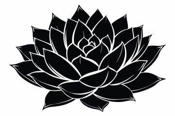 Monochrome Graphic Illustration of a Succulent Plant, Detailed Leaf Veins and Texture