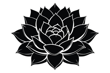 Bold Black and White Graphic Illustration of a Succulent with Defined Petals