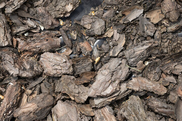 Close-up of dark brown bark mulch. The texture is rough and uneven, with various sizes of bark pieces creating an abstract pattern.