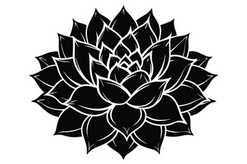 Detailed Black and White Illustration of a Succulent Plant with Sharp Leaves Design