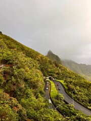 The beautiful lush, green natural scenery along a hike up Pali Puka mountain on the island of O'ahu, Hawai'i, United States of America.