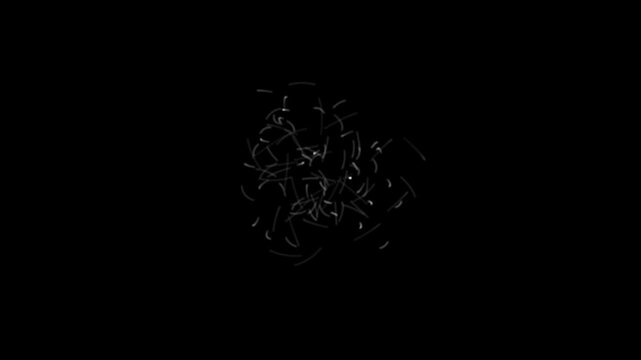 Swarm of Bugs Animation on a Black Background. Bees Swarm Animation. 4K