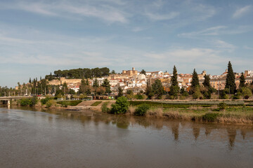 Vista del Puente de Palmas en Badajoz, Extremadura. Puente histórico sobre el Guadiana 