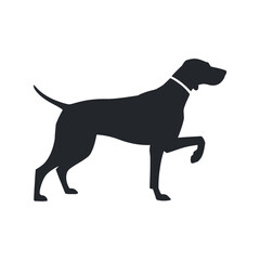 Elegant German Shorthaired Pointer Silhouette with Collar in Hunting Stance Against a Clean White Background