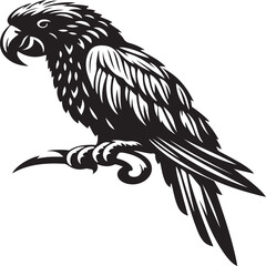 pranto vector Illustration