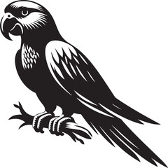 vector bird sihouette