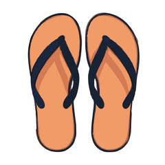 flip flops vector illustration