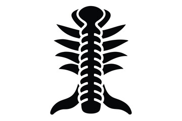 Black Silhouette of a Vertebral Column Showing Spinal Anatomy and Skeletal Structure
