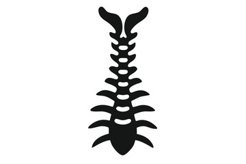 Black and White Illustration of Spine with Ribs and Vertebrae Silhouette