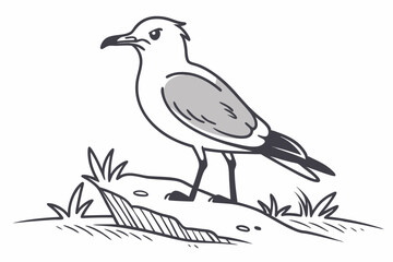 Seagull Perched on Rock: Coastal Bird Illustration & Nature Art