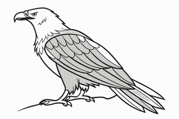 Eagle Standing on Rock – Black and White Bird of Prey Illustration