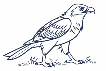 Majestic Falcon Coloring Page: Bird of Prey Outline for Kids
