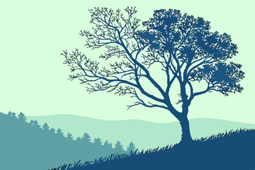 Fototapeta premium Bare Tree Silhouette in Shatgara Landscape: Tranquil Nature Scene