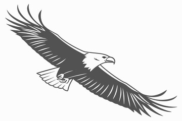  Majestic Soaring Eagle Clipart:Black and White Bird Illustration