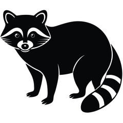 raccon vector