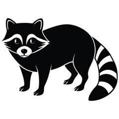 raccon vector