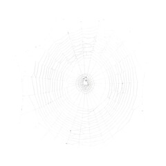 Fragile spider web, isolated on white or transparent background. PNG