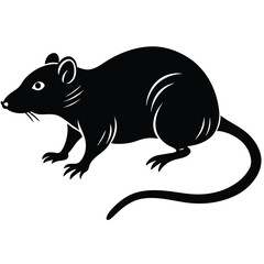 rat vector Illustrator 