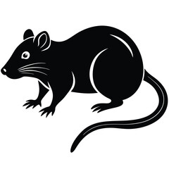 rat vector Illustrator 