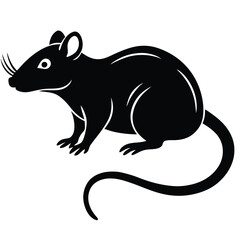 rat vector Illustrator 