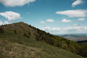 Rocky grassy slope and treeline below the peak of Mount Cigota in spring, with puffy clouds above.