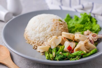 Rice topped with stir fried Thai basil with Squid , pad ka praow