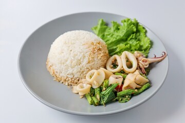 Rice topped with stir fried Thai basil with Squid , pad ka praow
